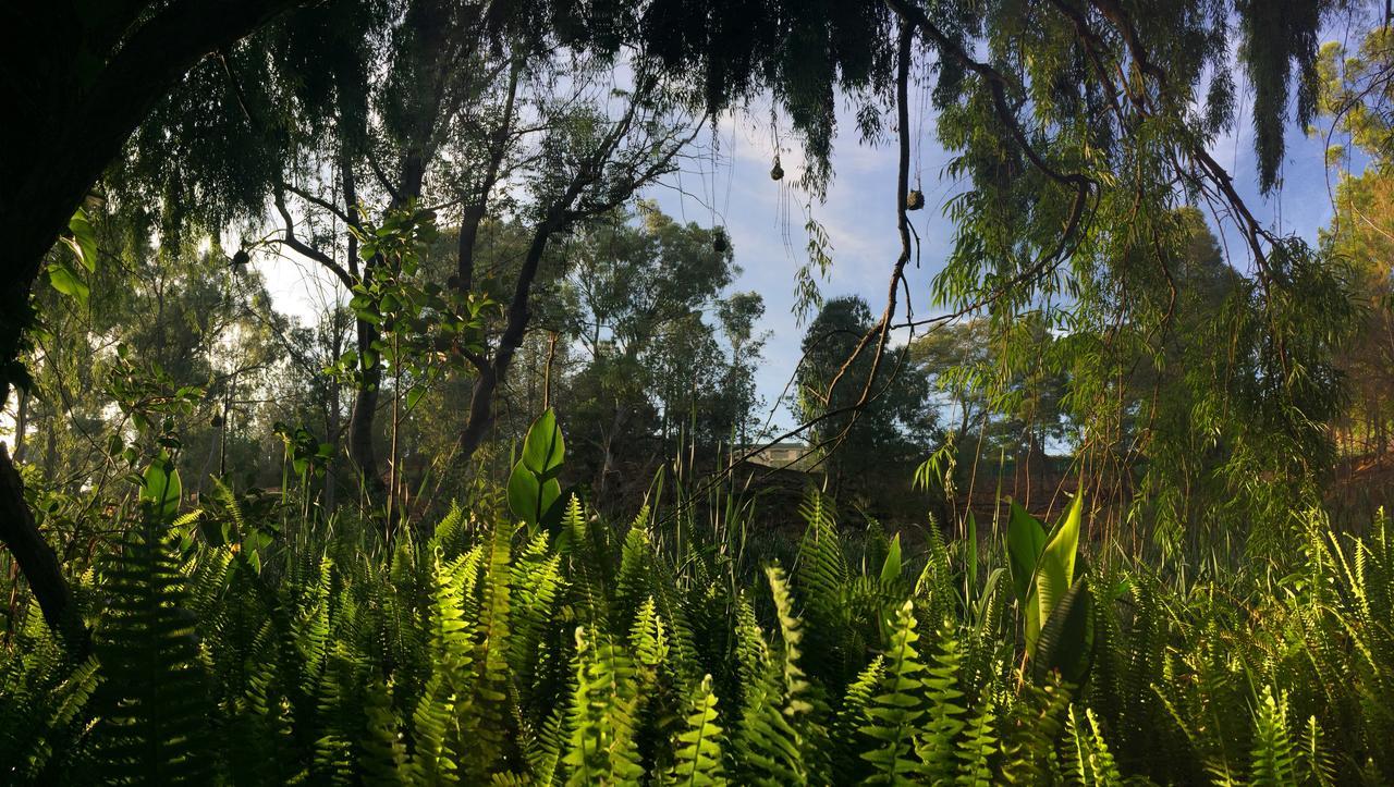 Rain Forest Boutique Camp Krugersdorp Luaran gambar