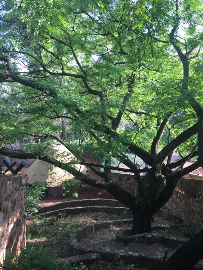 Rain Forest Boutique Camp Krugersdorp Luaran gambar