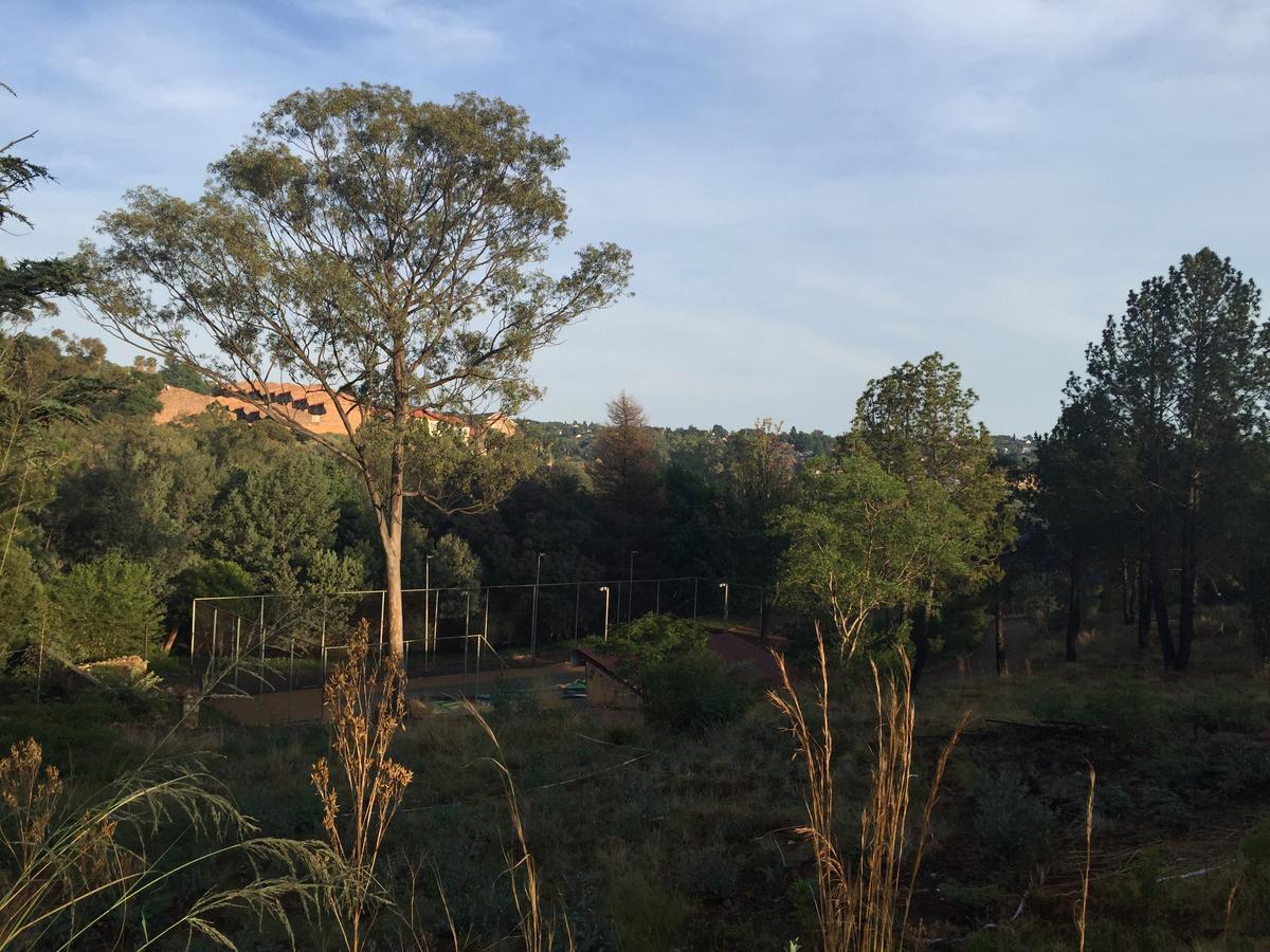 Rain Forest Boutique Camp Krugersdorp Luaran gambar