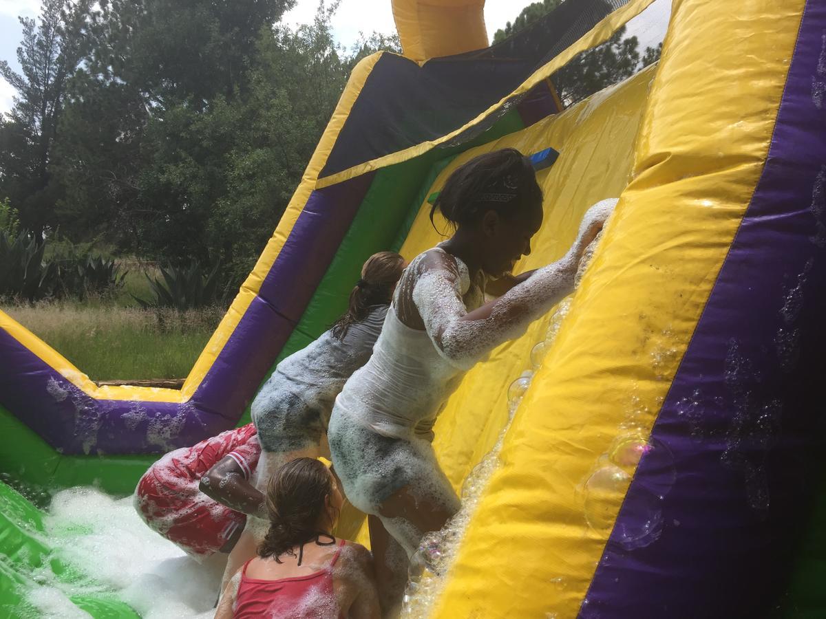 Rain Forest Boutique Camp Krugersdorp Luaran gambar