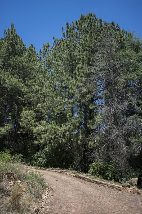 Rain Forest Boutique Camp Krugersdorp Luaran gambar